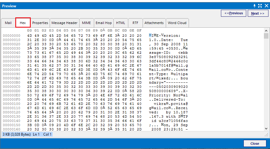 Hex View for Netscape Forensics