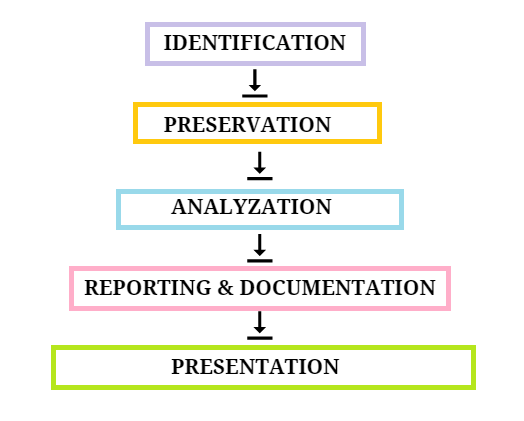 digital-evidence-collection-in-cyber-security