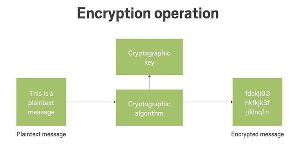 Cryptography algorithm. Операция шифрования. симметричное и асимметричное шифрование. cryptographic algorithms. шифрование gdpr.
