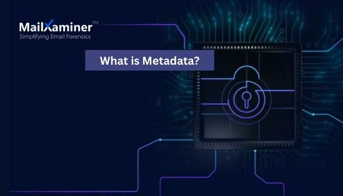 What is Metadata